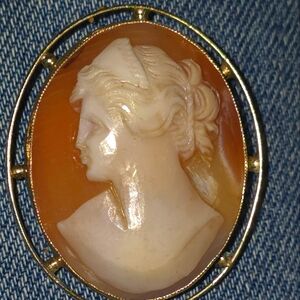 Vintage cameo gold plated . Signed on the back.  Will add more photos later.